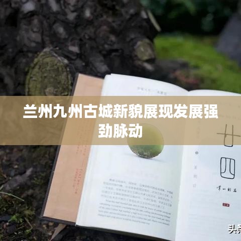 兰州九州古城新貌展现发展强劲脉动