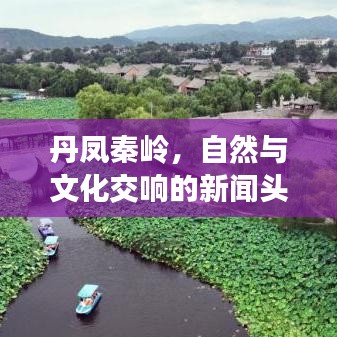 丹凤秦岭，自然与文化交响的新闻头条