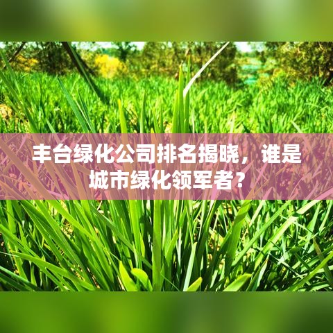丰台绿化公司排名揭晓，谁是城市绿化领军者？