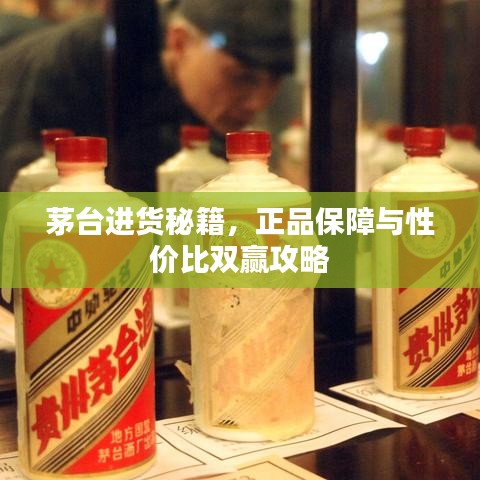 茅台进货秘籍，正品保障与性价比双赢攻略