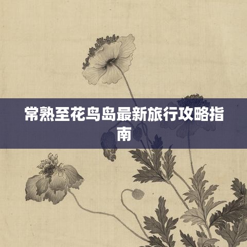 常熟至花鸟岛最新旅行攻略指南