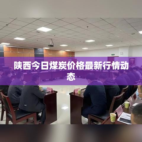 陕西今日煤炭价格最新行情动态