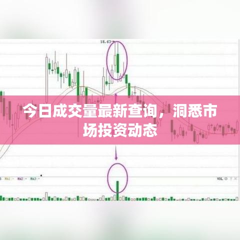 今日成交量最新查询，洞悉市场投资动态