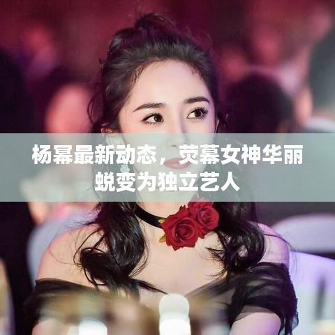 杨幂最新动态，荧幕女神华丽蜕变为独立艺人