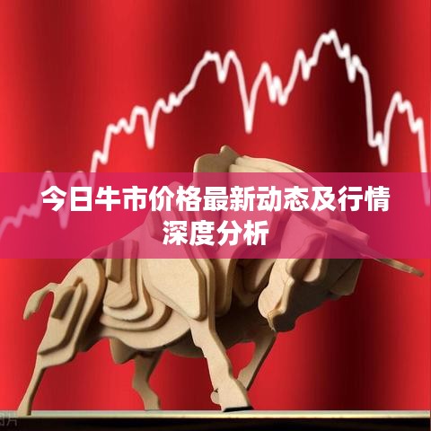 今日牛市价格最新动态及行情深度分析