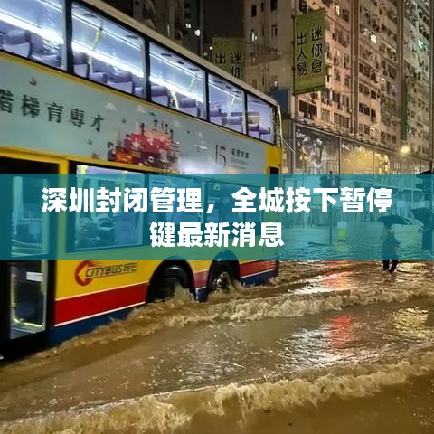 深圳封闭管理，全城按下暂停键最新消息