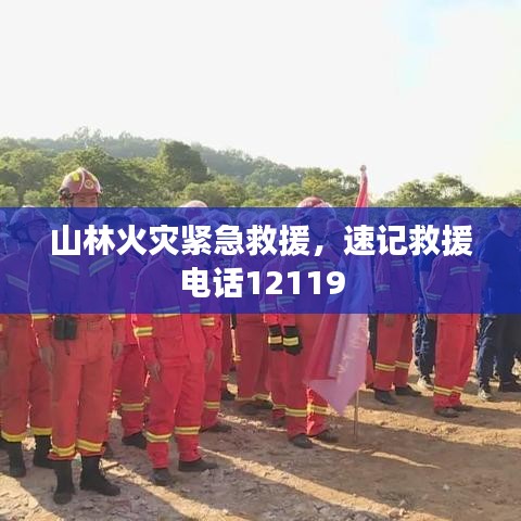 山林火灾紧急救援，速记救援电话12119
