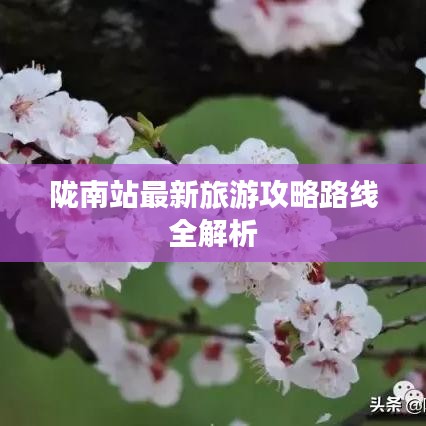 陇南站最新旅游攻略路线全解析