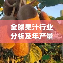 全球果汁行业分析及年产量排名概览