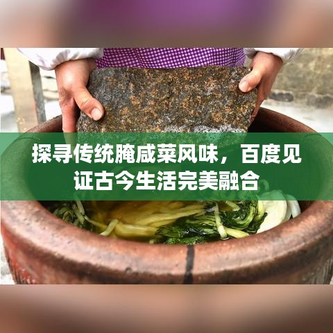 探寻传统腌咸菜风味，百度见证古今生活完美融合