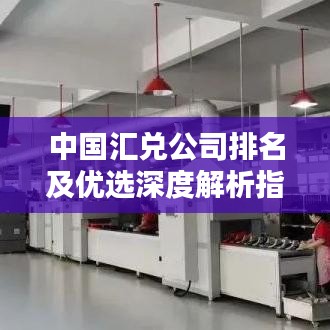 中国汇兑公司排名及优选深度解析指南
