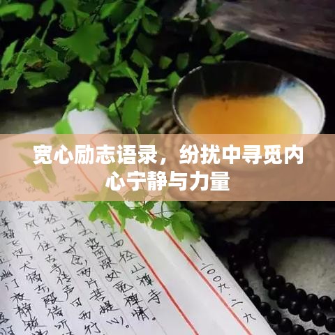 宽心励志语录，纷扰中寻觅内心宁静与力量