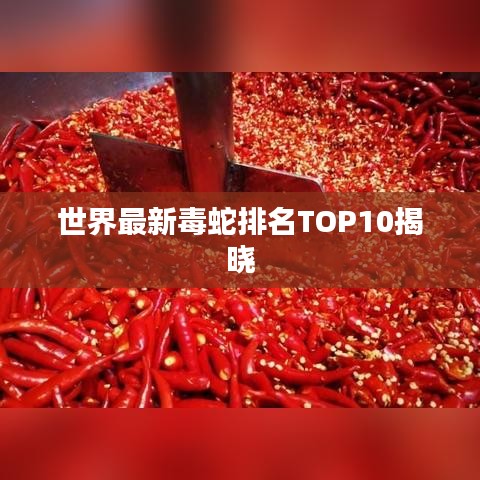 世界最新毒蛇排名TOP10揭晓