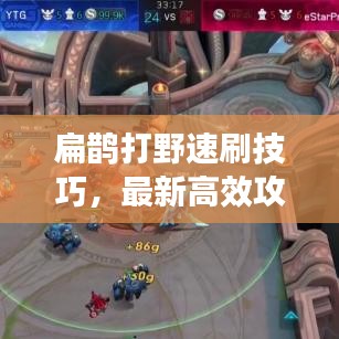 扁鹊打野速刷技巧，最新高效攻略
