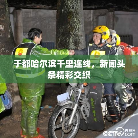 于都哈尔滨千里连线，新闻头条精彩交织