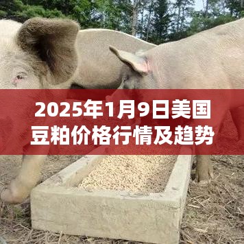 2025年1月9日美国豆粕价格行情及趋势分析