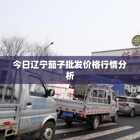 今日辽宁茄子批发价格行情分析