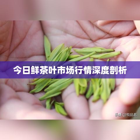 亘古新闻 第2页