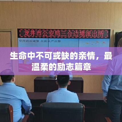 生命中不可或缺的亲情，最温柔的励志篇章