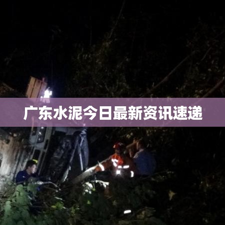 广东水泥今日最新资讯速递