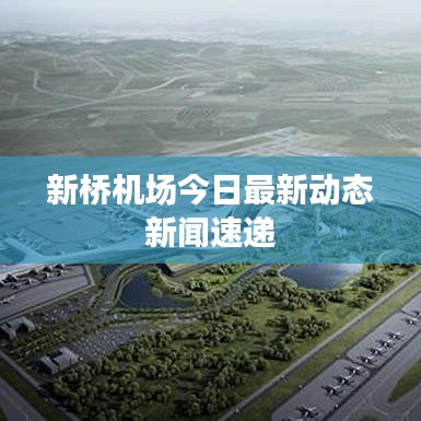 新桥机场今日最新动态新闻速递