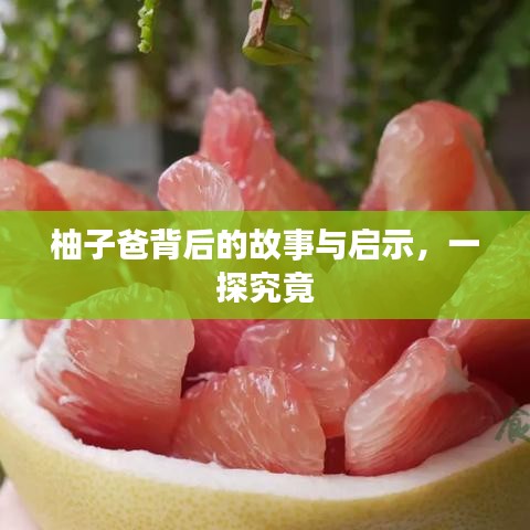 柚子爸背后的故事与启示，一探究竟