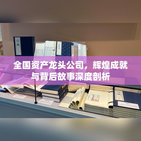 全国资产龙头公司，辉煌成就与背后故事深度剖析