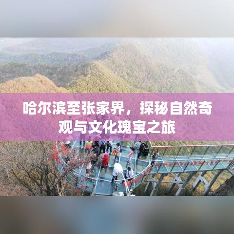 哈尔滨至张家界，探秘自然奇观与文化瑰宝之旅