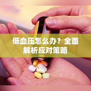 低血压怎么办？全面解析应对策略