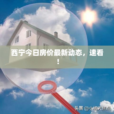 西宁今日房价最新动态，速看！