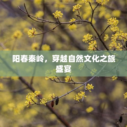 阳春秦岭，穿越自然文化之旅盛宴