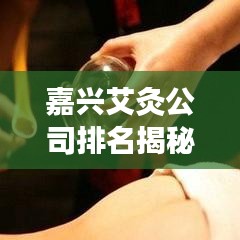 嘉兴艾灸公司排名揭秘，影响力深度剖析