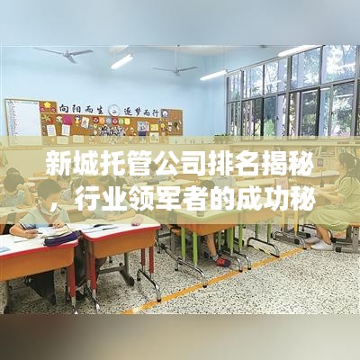 新城托管公司排名揭秘，行业领军者的成功秘诀！