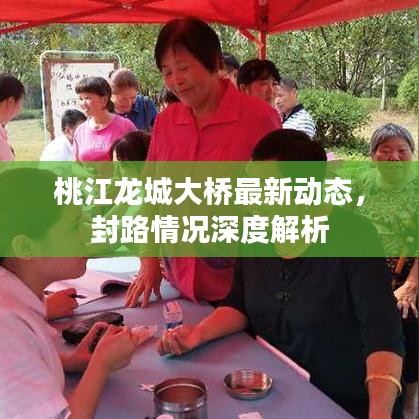 桃江龙城大桥最新动态，封路情况深度解析