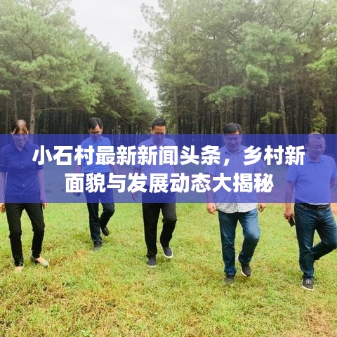 小石村最新新闻头条，乡村新面貌与发展动态大揭秘