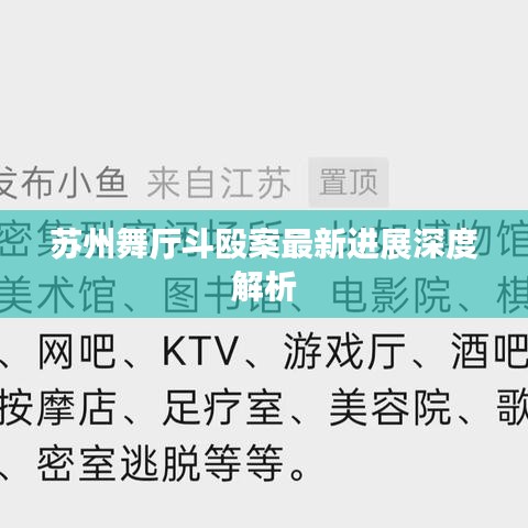 苏州舞厅斗殴案最新进展深度解析