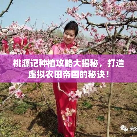 桃源记种植攻略大揭秘，打造虚拟农田帝国的秘诀！