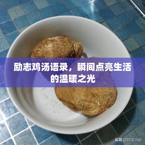 励志鸡汤语录，瞬间点亮生活的温暖之光