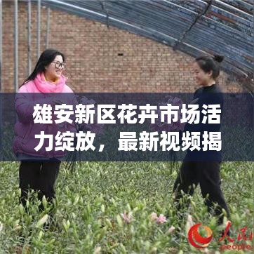 雄安新区花卉市场活力绽放，最新视频揭示蓬勃生机与无限未来潜力