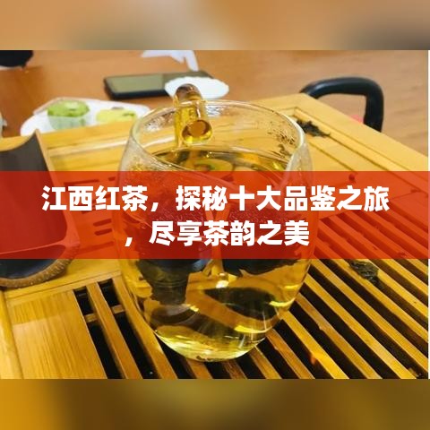 江西红茶，探秘十大品鉴之旅，尽享茶韵之美