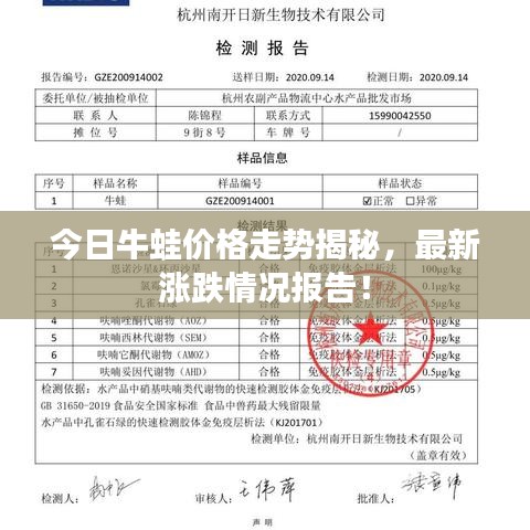 今日牛蛙价格走势揭秘，最新涨跌情况报告！