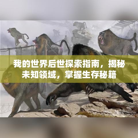 我的世界后世探索指南，揭秘未知领域，掌握生存秘籍