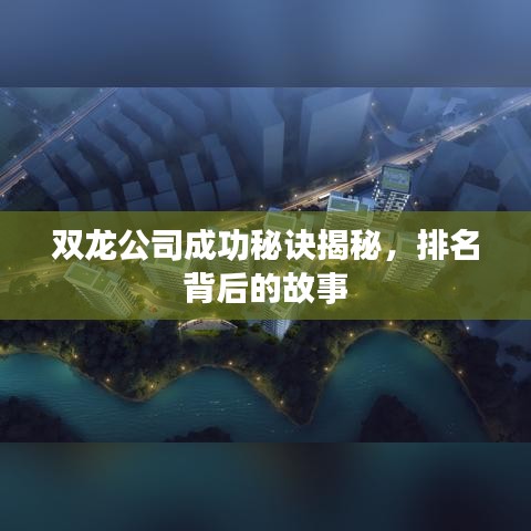 双龙公司成功秘诀揭秘，排名背后的故事