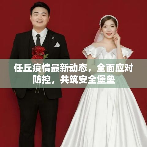 任丘疫情最新动态，全面应对防控，共筑安全堡垒