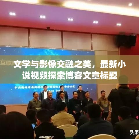 文学与影像交融之美，最新小说视频探索博客文章标题
