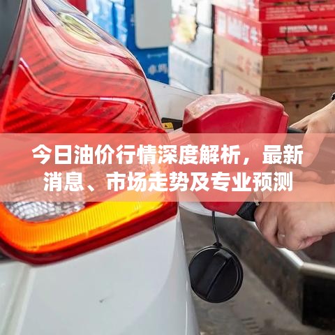 今日油价行情深度解析，最新消息、市场走势及专业预测