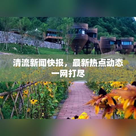 清流新闻快报，最新热点动态一网打尽