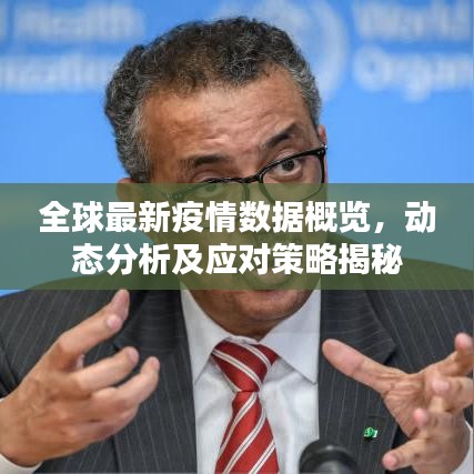 全球最新疫情数据概览，动态分析及应对策略揭秘