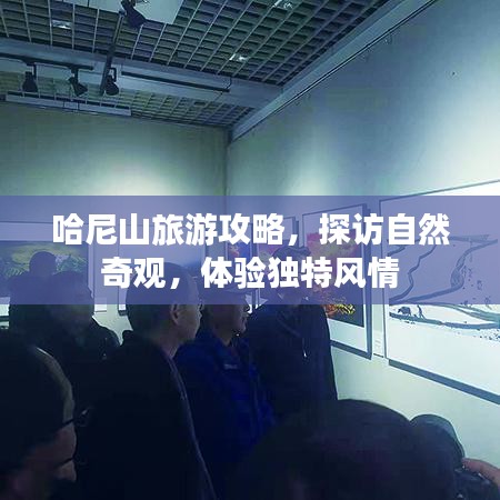 哈尼山旅游攻略，探访自然奇观，体验独特风情
