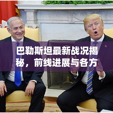 巴勒斯坦最新战况揭秘，前线进展与各方反应